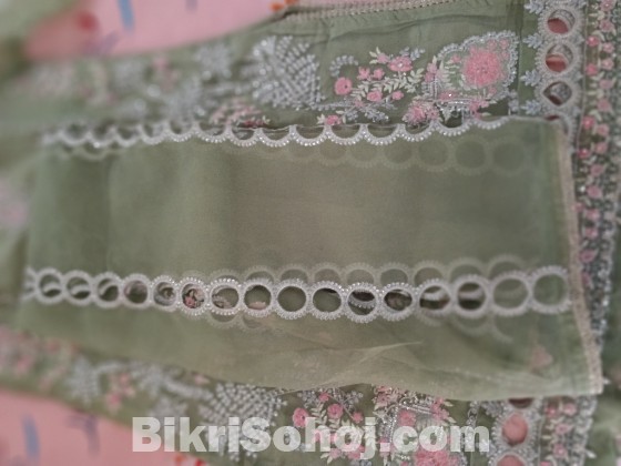 Pakistani organza dress